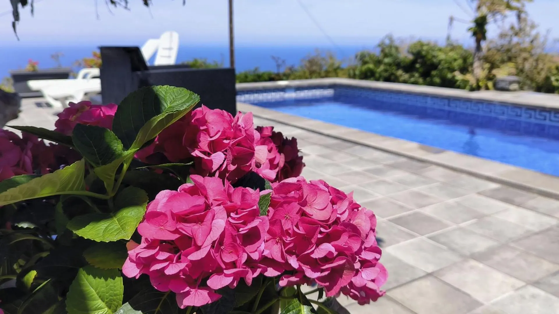 Apartment Apartamentos Guayonje Costa Santa Cruz de Tenerife