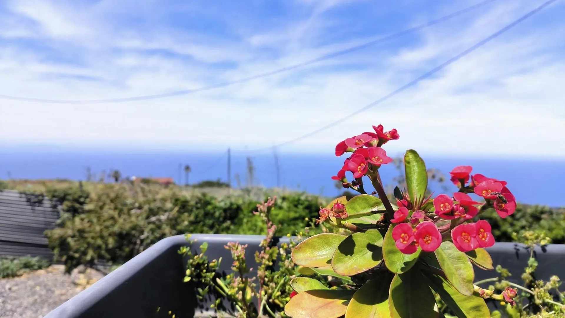 Apartamentos Guayonje Costa Santa Cruz de Tenerife Spain